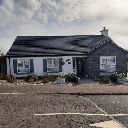 Number 14 Bed & Breakfast Downpatrick Eksteriør bilde