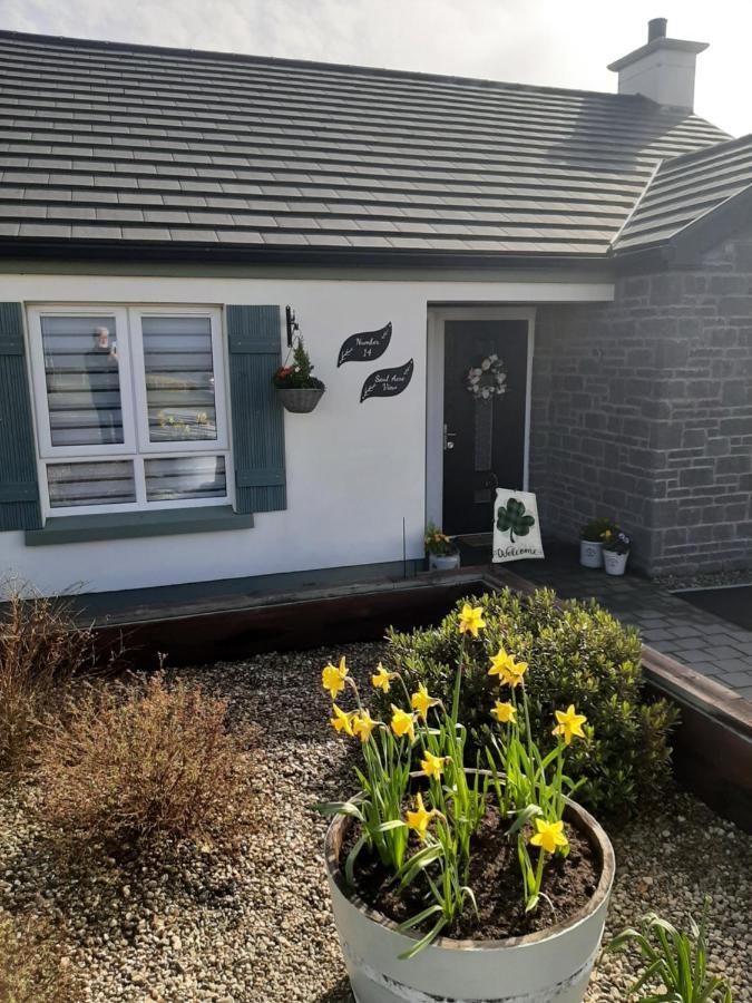 Number 14 Bed & Breakfast Downpatrick Eksteriør bilde