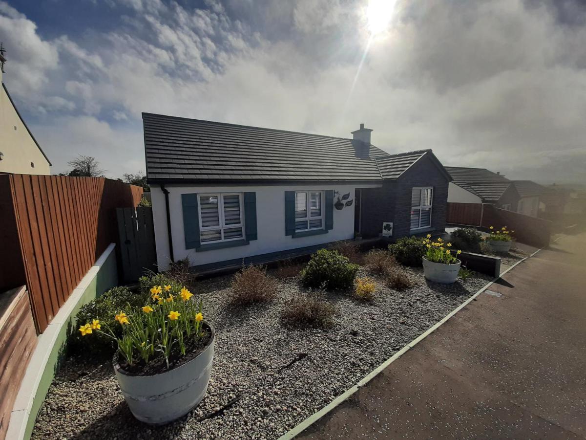 Number 14 Bed & Breakfast Downpatrick Eksteriør bilde