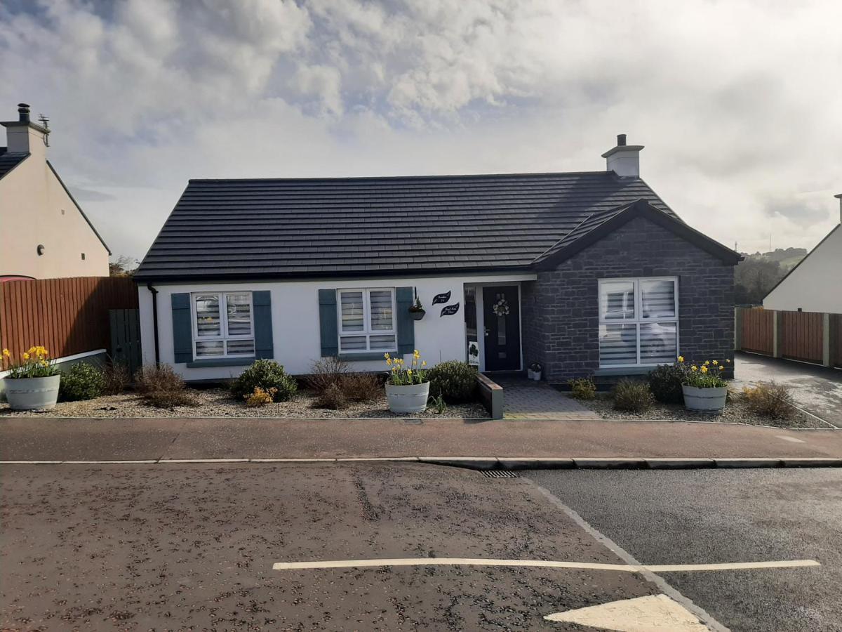 Number 14 Bed & Breakfast Downpatrick Eksteriør bilde